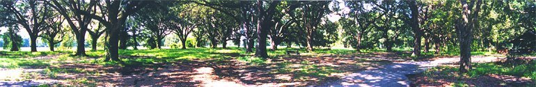 Save Audubon Park