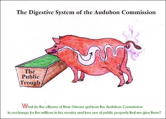 The Digestive System of the Audubon Commission